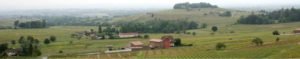 TOURISME VINS BEAUJOLAIS