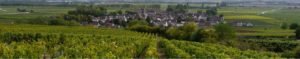 tourisme vins bourgogne