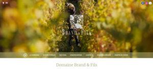 domaine brand & fils