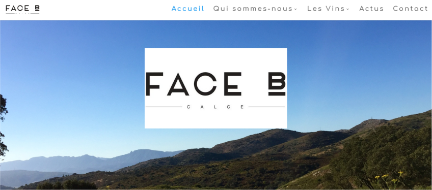 domaine face b