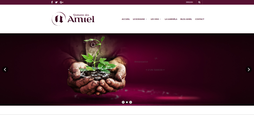 domaine les amiel