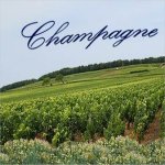 Champagne-didier-doue