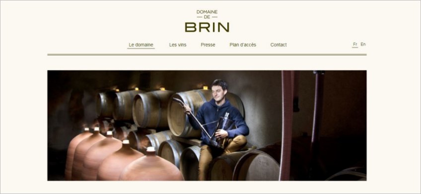 Domaine-de-brin