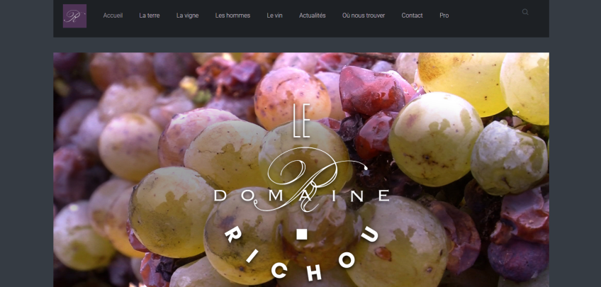 Domaine richou