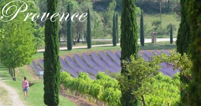 Oenotourisme provence vin