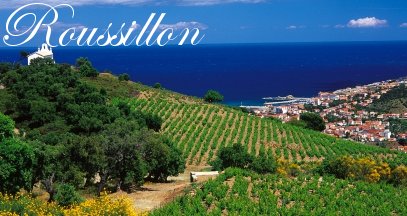 Oenotourisme roussillon vin