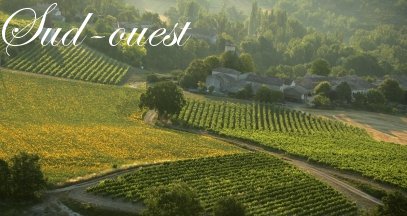 Oenotourisme sud-ouest vin