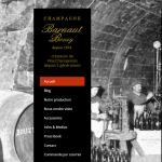 Champagne-BARNAUT-BOUZY