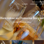 Domaine-BORGNAT