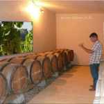 Domaine-DELORME