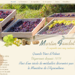 Domaine-MARTIN-FAUDOT