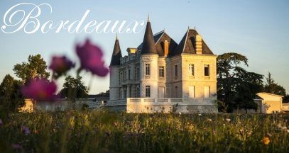 oenotourisme-bordeaux-vin