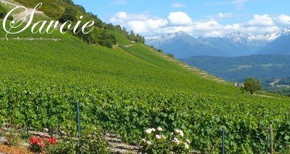 oenotourisme-savoie-vin