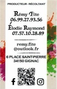 Oenotourisme-languedoc