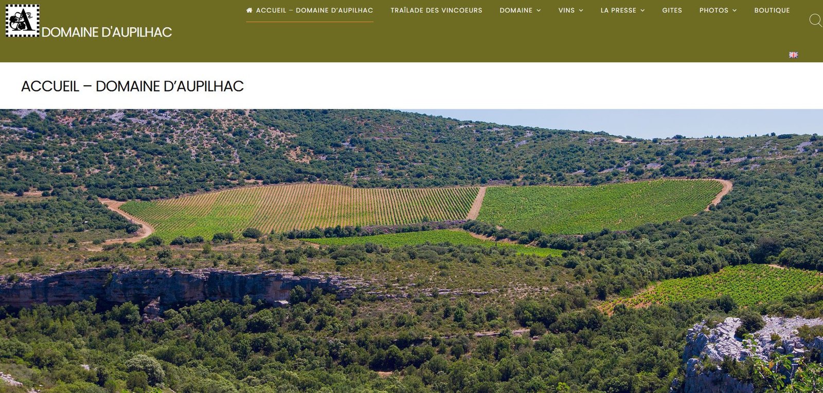 Domaine-aupilhac-vignes